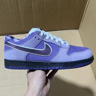 View 3 - Purple