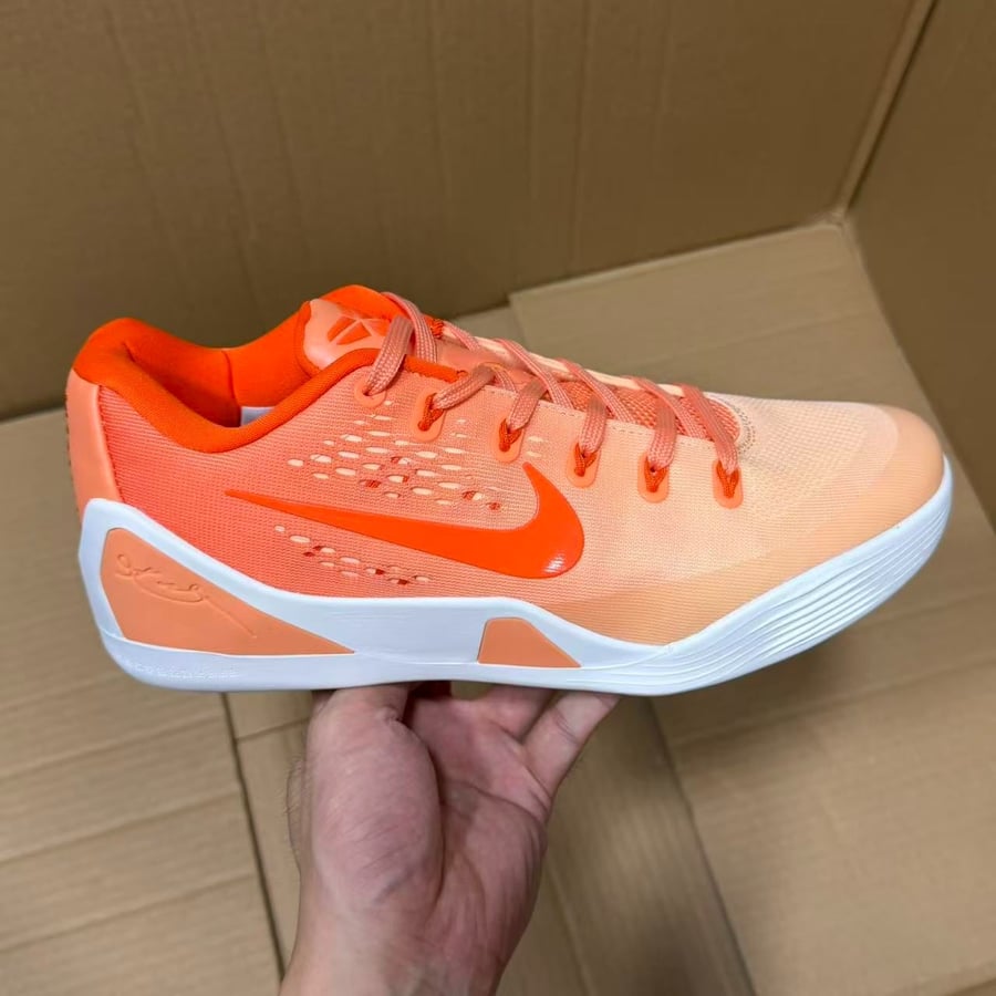 View 3 - Orange