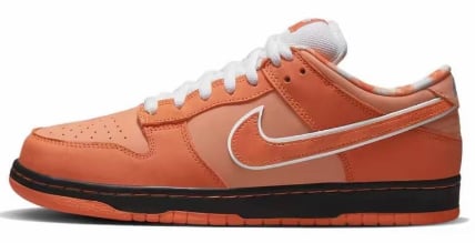 View 6 - Orange