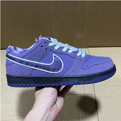 View 7 - Purple